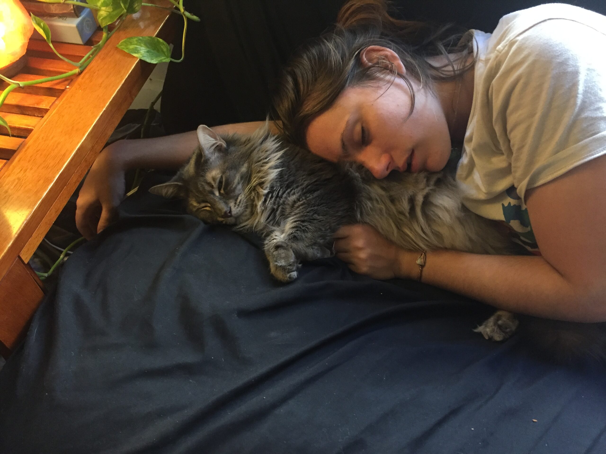Now I Lay Me Down to (Not) Sleep